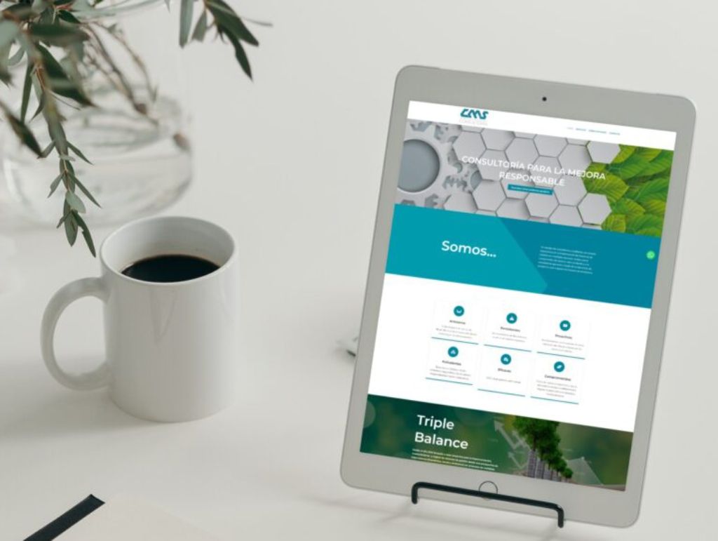 web-cms-consultores